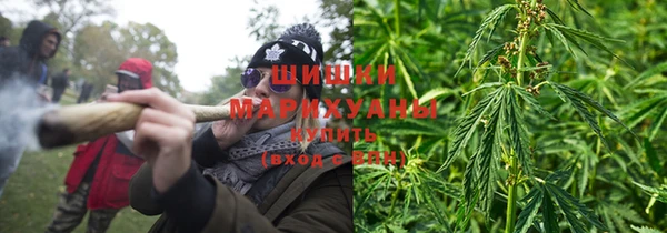 Альфа ПВП Аркадак