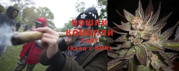 Альфа ПВП Аркадак