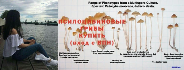 мефедрон Арсеньев